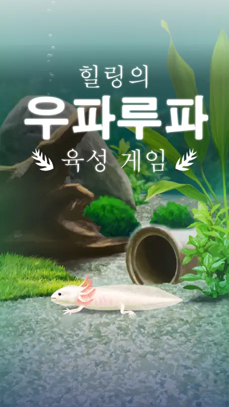 힐링의 우파루파 육성 게임