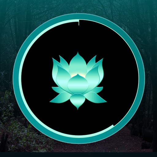 MeditatorMate - Meditation Timer - Journal