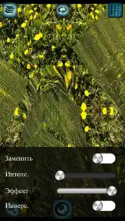 Фото Эффекты с фильтрами и настройками. айфон картинки 3