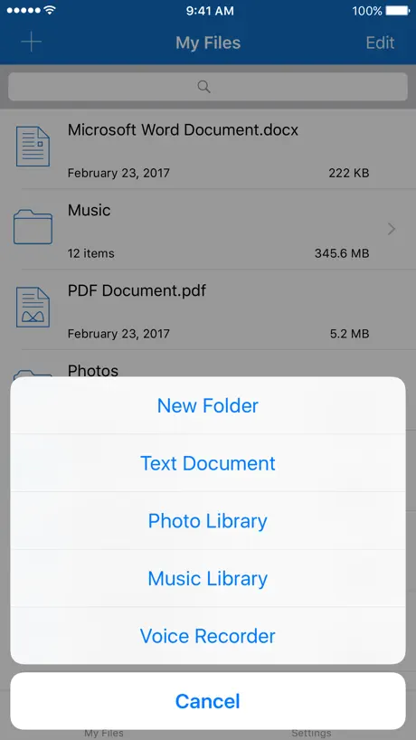 File Manager for iPhone