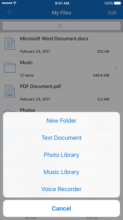 File Manager for iPhone