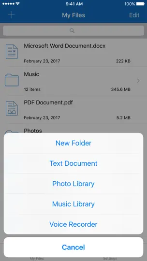 File Manager For IPhone iPhone Ekran Görüntüsü 1