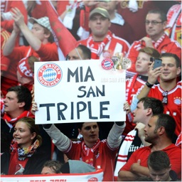 FC Bayern Fanclub Katze Kahn