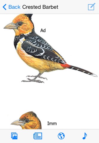 eGuide to Birds of East Africaのおすすめ画像4