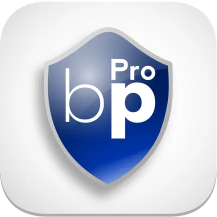 BleuPagePro Читы