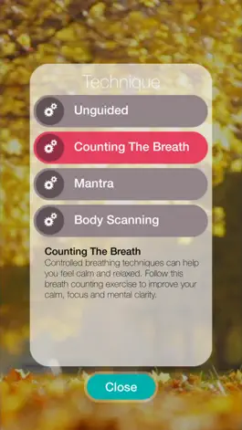 Game screenshot Pip: Clarity hack