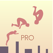 Super Acrobat PRO