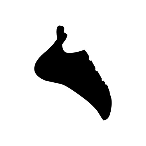 BOULDER STICKER