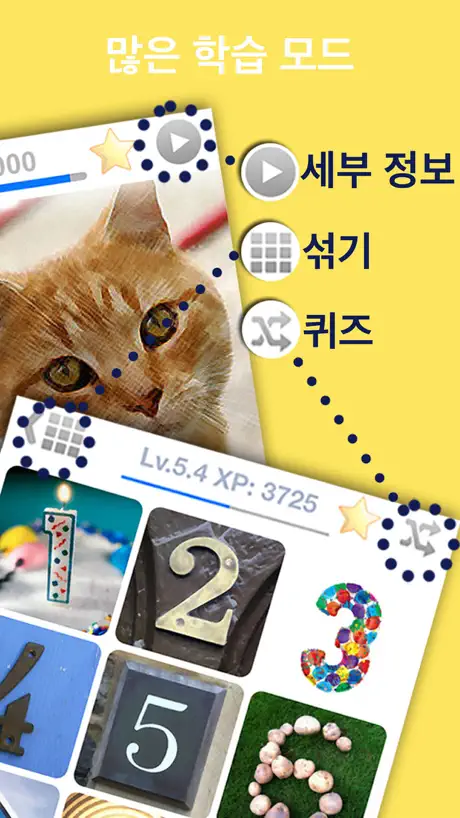 LingoCards 덴마크어 단어 배우기 (아가)