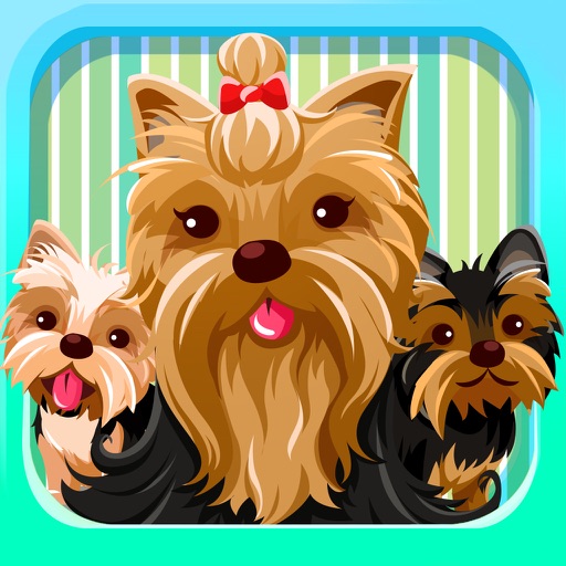 Yorkie Emoji:Yorkshire Terrier Dog Sticker App