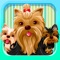 Get over 100 unique and cute Yorkie dog emojis to text your friends and loved ones