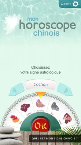 Game screenshot Mon Horoscope Chinois mod apk