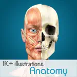 Anatomy - 1K+ Illustrations App Contact