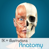 Anatomy  logo