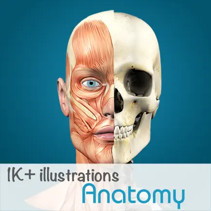 Anatomy - 1K+ Illustrations Читы