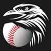 Baseball Eagle-eye