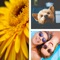 Most simple Photo Collage Maker