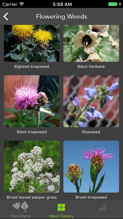 Alberta Weed Spotter