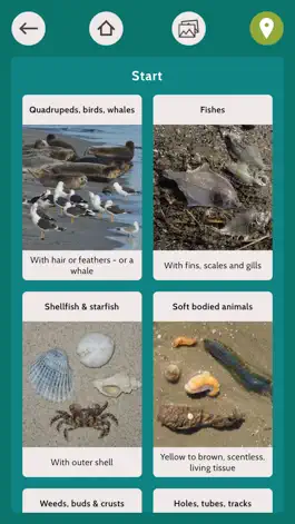 Game screenshot Baltic Explorer apk