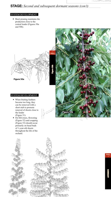 Cherry Training Systems screenshot-4