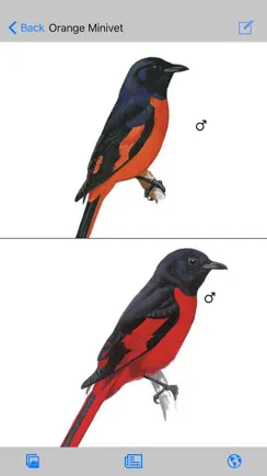 EGuide to Birds of the Indian Subcontinent iPhone image 4