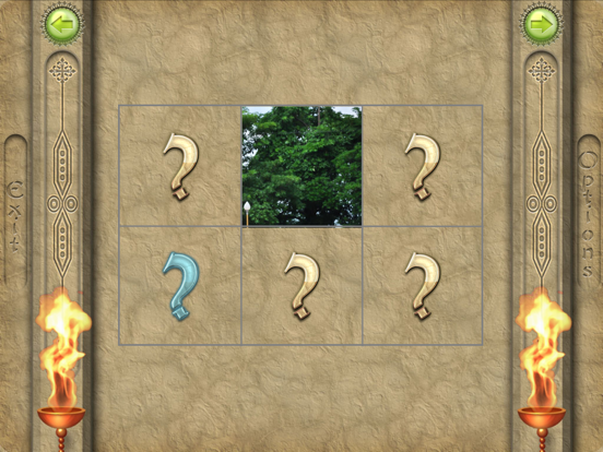Screenshot #5 pour FlipPix Jigsaw - Dragons