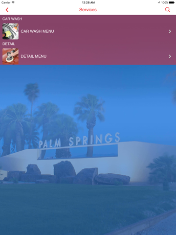 Palm Springs Auto Wash - náhled