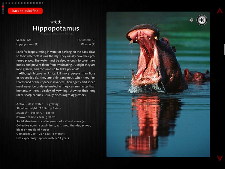 Game Drive - A Safari Guide of Southern Africa