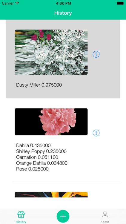 WhatFlower - Flower Type Identification screenshot-3