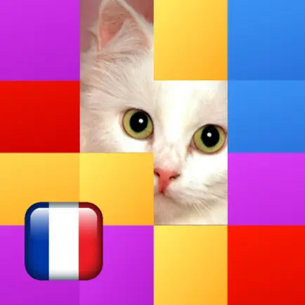Devinez l'Image - Français Читы