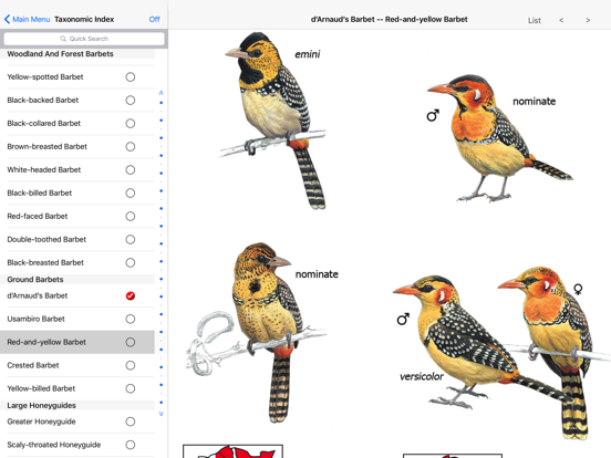 eGuide to Birds of East Africa iPad app afbeelding 5