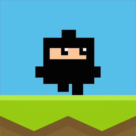 Block Ninjas Cheats