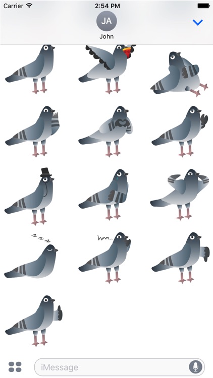 Frank The Pigeon