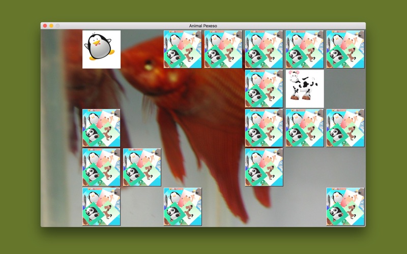 Animal Pexeso screenshot