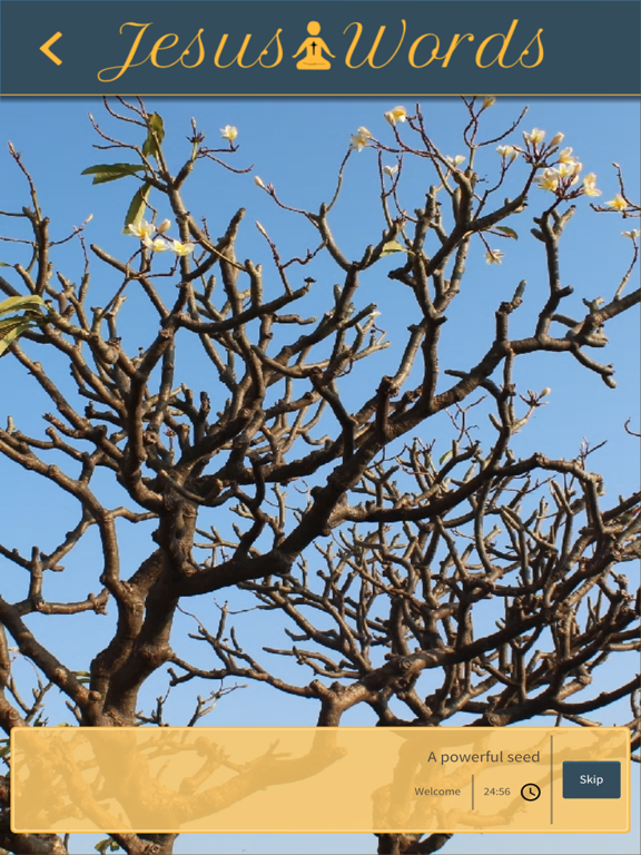 Jesus Words Meditation iPad screenshot 5 - Lifestyle app