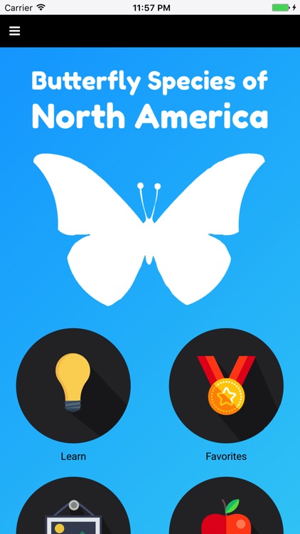 Butterfly Species of North America