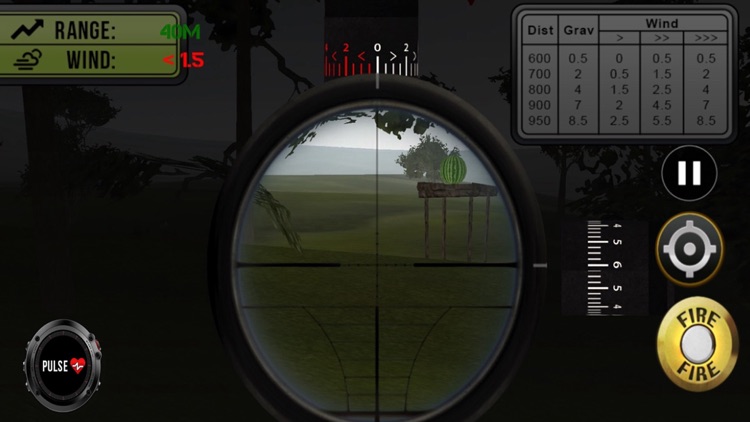 Shooter Train Sniper Commando