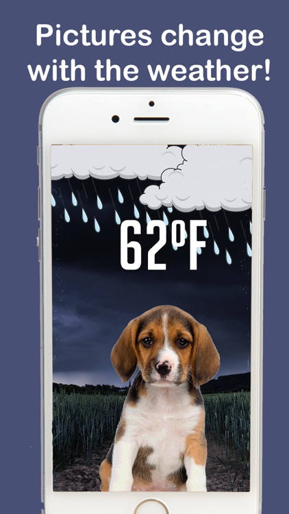 Puppy Weather Live