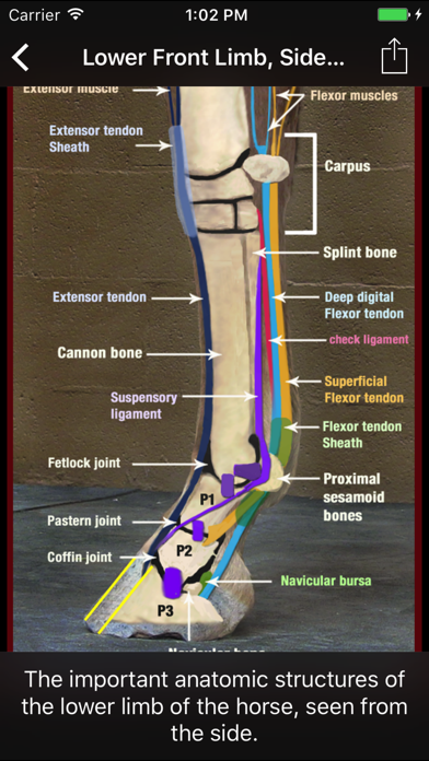 Horse Side Vet Guideのおすすめ画像3