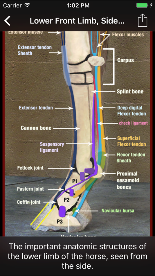 #3. Horse Side Vet Guide (iOS) 由: Thal Enterprises Inc.