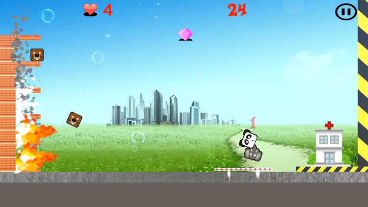 On Fire - Animal Rescue