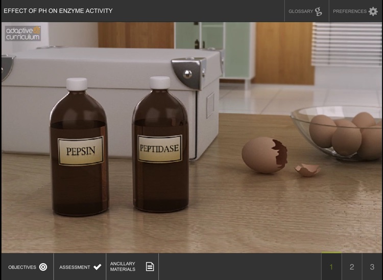 Factors Affecting Enzyme Act 2