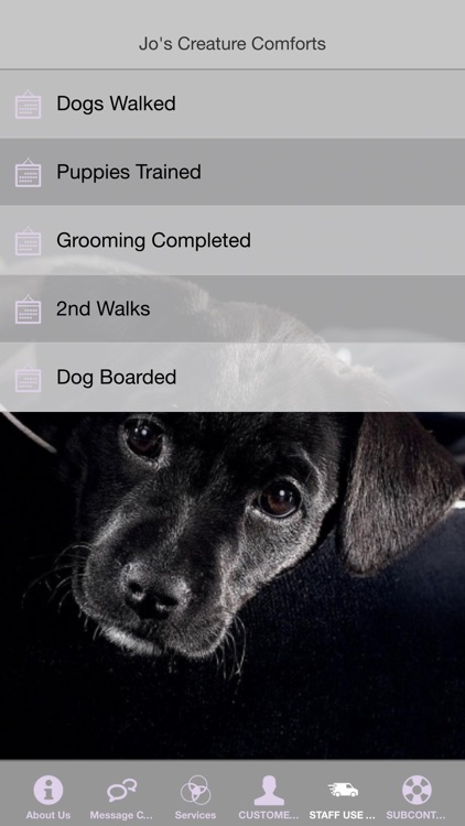 Jcc Pet Care By Appinstitute Co Uk