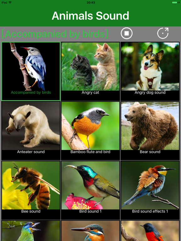 Screenshot #4 pour Animals Sound - Animal Sound Effects Free