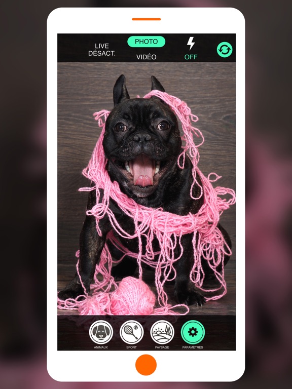 Screenshot #4 pour Octopus Photos - Rangez vos photos instantanément