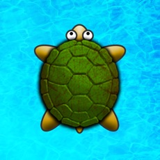 Activities of Turtle Surfer