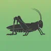 Similar Cricket Sounds Apps