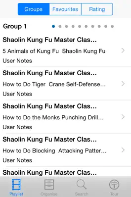 Game screenshot Shaolin Kung Fu Master Class apk