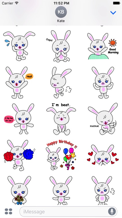 Lovely bunny ”Nana"