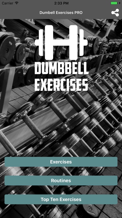 Dumbbell Exercises Light